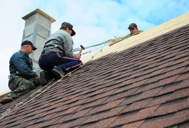 Best Residential Roof Replacement  in Springville, NY